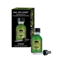 Kama Sutra Oil Of Love Hot Chocolate 22ml