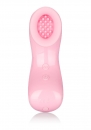     "Pulsing Intimate Arouser" 