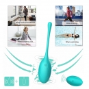  Kegel Ball   & Remote Control "Kitty" 