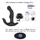    - Prostate Massager & Remote Control "Charles II" 